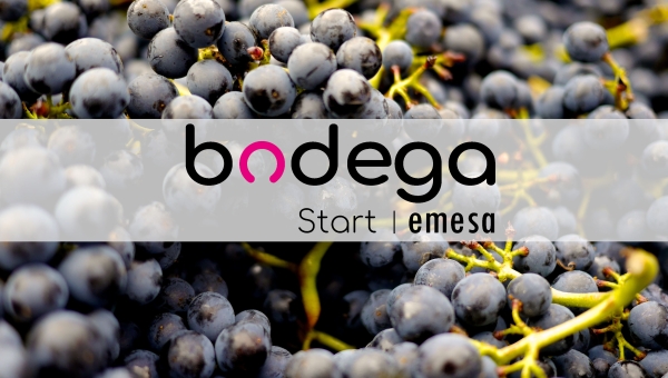 Bodega Start: software de gestión para bodegas que empiezan a crecer