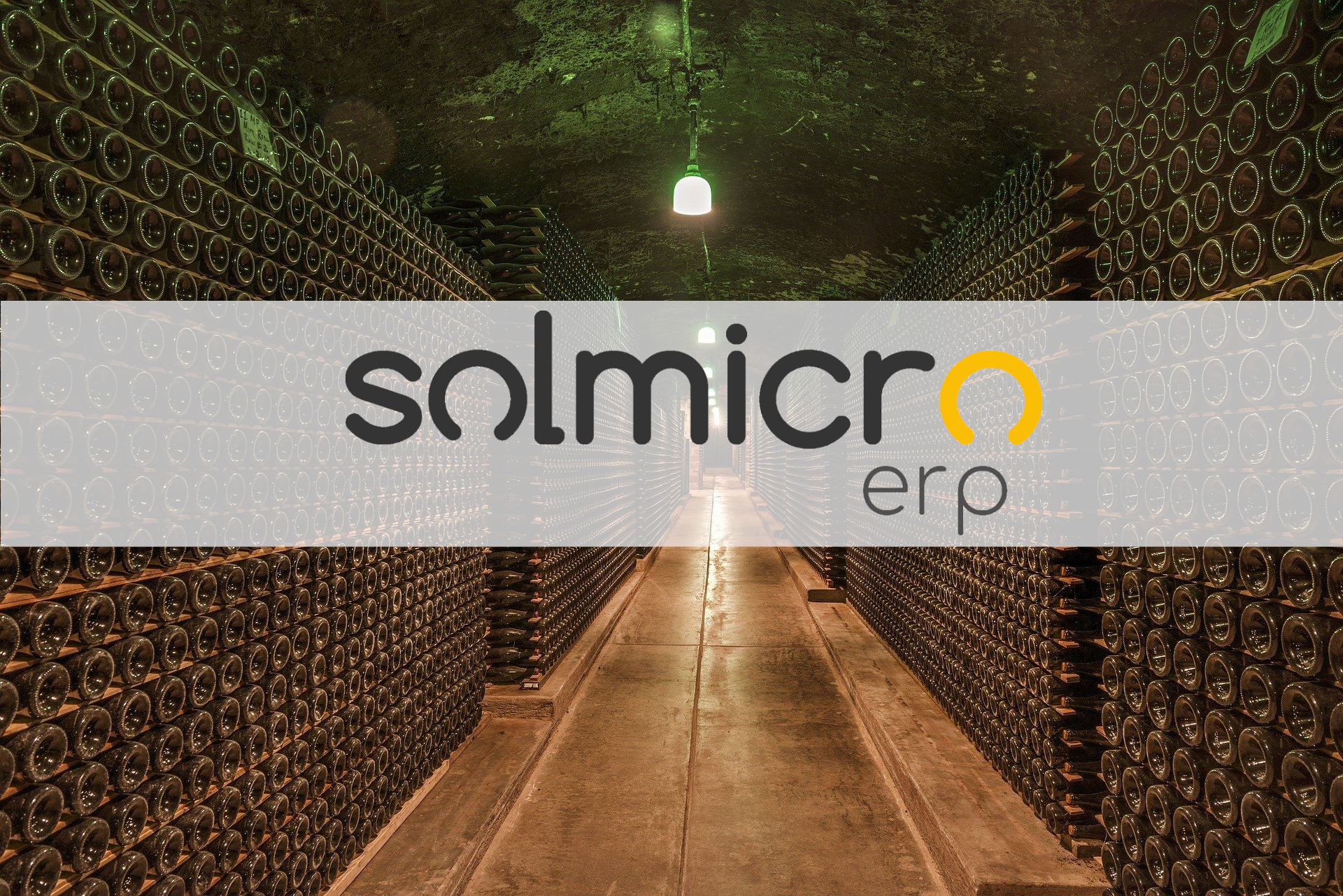 Solmicro ERP Bodegas: software de gestión integral para bodegas